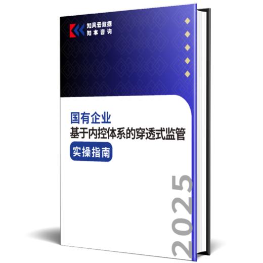 【重磅发布】国有企业基于内控体系的穿透式监管实操指南（2025年） 商品图1
