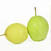 京鲜生 长城河北雪花梨 冰糖雪梨 5斤装 单果300g+ 生鲜水果 商品缩略图0