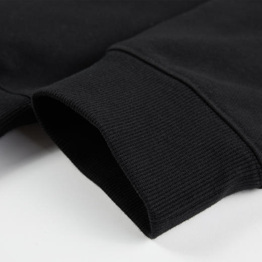 NPC潮牌果冻logo装饰圆领卫衣冬季宽松抓绒潮趣系列国潮NP3BST02 商品图2