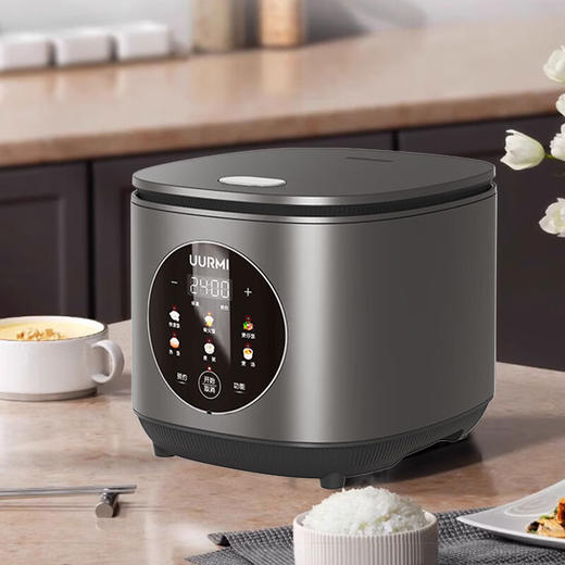 德国UURMI悠米 智能电饭煲 UM-FB002 商品图1