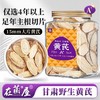 在菌屋 主根大片黄芪250g/罐 15mm以上大片 菊花芯清晰可见 商品缩略图0