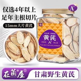 在菌屋 主根大片黄芪250g/罐 15mm以上大片 菊花芯清晰可见