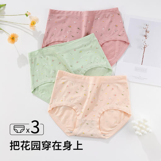 雅黛俪女士内裤柔软舒适透气纯棉裆底三角裤头 商品图5