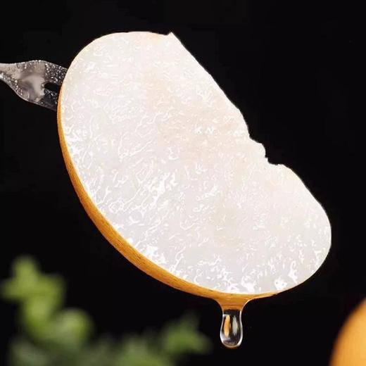 正宗秋月梨纯甜无渣25年新梨 商品图2