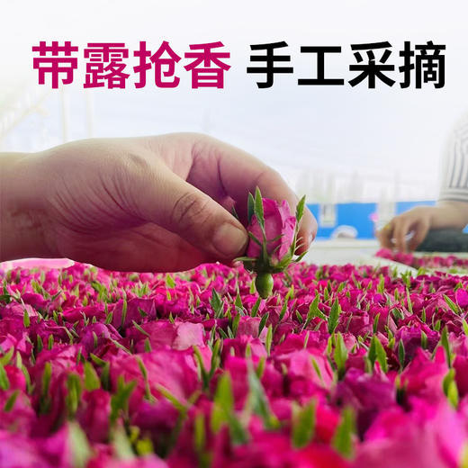 新疆大蓟蜜500g+新会陈皮丝100g+新疆和田玫瑰70g+黄芪片200g 商品图2