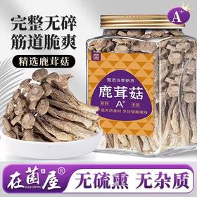 在菌屋 特级鹿茸菇200g/罐 头茬嫩菇 口感脆嫩爽滑 干度足易保存