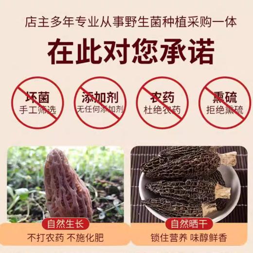 【月满福满】云南菌菇礼盒 自然生长 自然晒干 商品图1