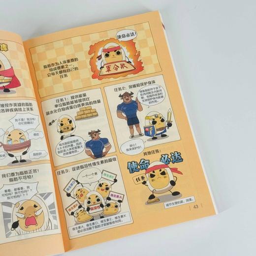 健身书籍 写给健身者的运动解剖学 精编口袋版 仰望尾迹云 健身百科全书训练计划 健身训练书籍 商品图2