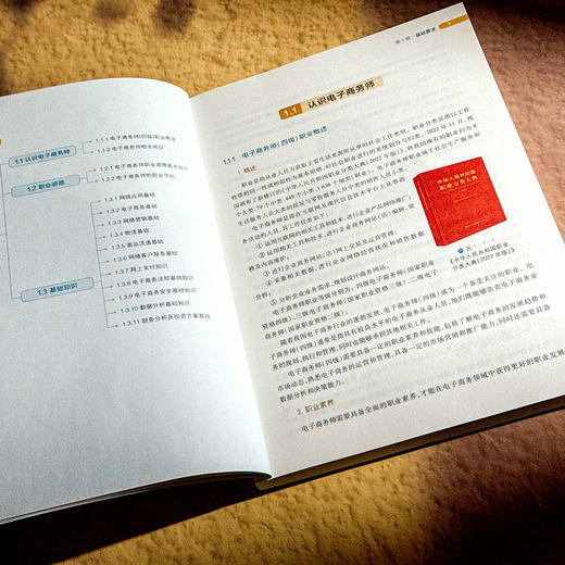 电子商务师 四级 中级 职业教育电子商务专业教材 职业技能等级认定培训 商品图8