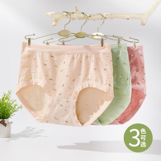 雅黛俪女士内裤柔软舒适透气纯棉裆底三角裤头 商品图7