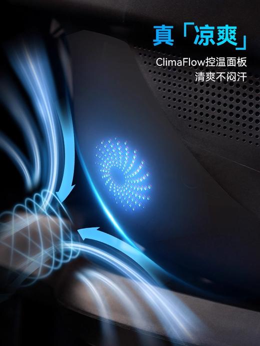 Maxicosi迈可适 Pebble S婴儿提篮0-15个月新生儿汽车便携安全座椅 商品图4