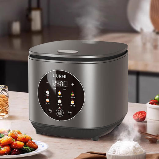 德国UURMI悠米 智能电饭煲 UM-FB002 商品图0
