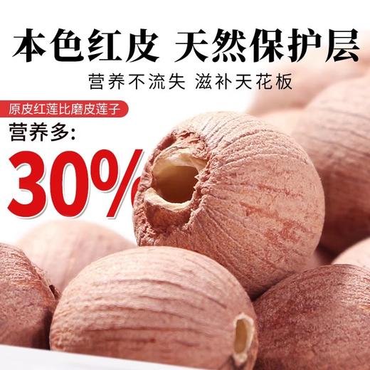 在菌屋 精选去芯大颗粒红皮莲子450g/罐 单颗直径12mm+ 手工去芯不磨皮 商品图2