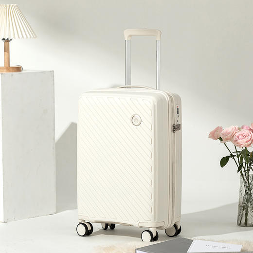 外交官 拉杆箱（20英寸）DS-1322 商品图0