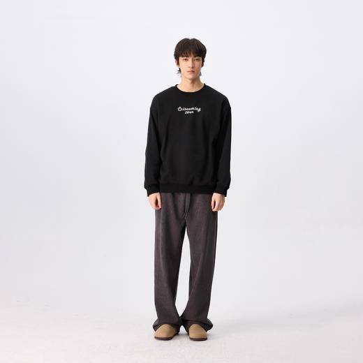 NPC潮牌CC系列双面印花磨毛宽松落肩卫衣男圆领舒适CC4CST09 商品图2