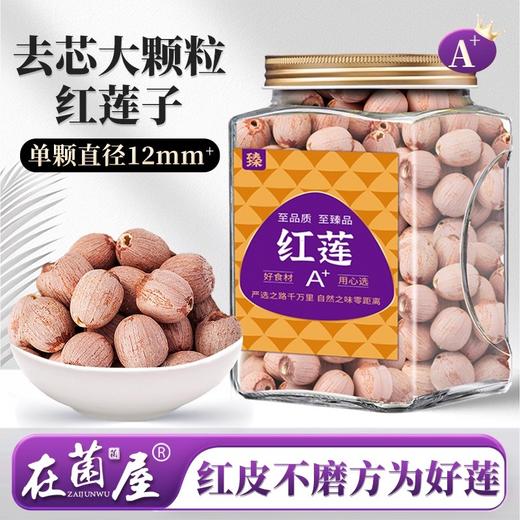 在菌屋 精选去芯大颗粒红皮莲子450g/罐 单颗直径12mm+ 手工去芯不磨皮 商品图0
