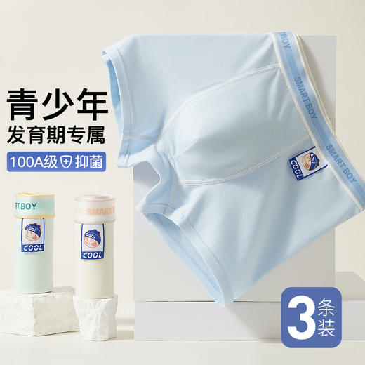 【3条装】100A抑菌棉柔舒适青少年发育期内裤男大码不夹臀1386潮酷内裤 商品图0