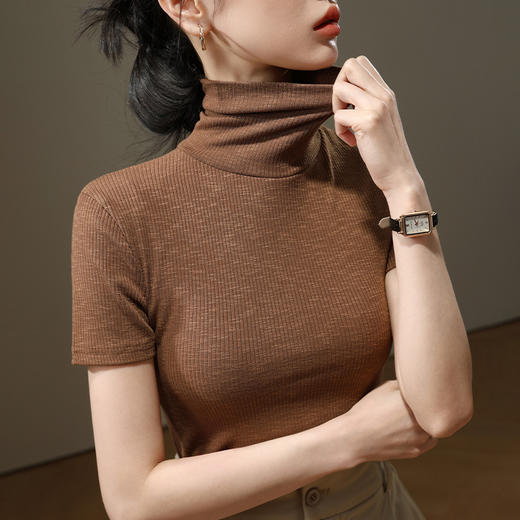 高领打底衫女薄款2025秋装新款女装气质短袖体恤修身微透内搭上衣 商品图1