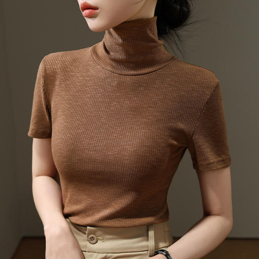 高领打底衫女薄款2025秋装新款女装气质短袖体恤修身微透内搭上衣 商品图0