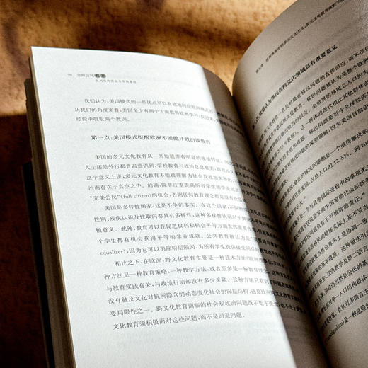 全球公民教育 批判性的理论与实践基础 教育变革 商品图11