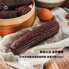 企鹅市集|山西农科院有机花青甜黑糯玉米10根装 乌粒金花青素 香甜软糯 商品缩略图3