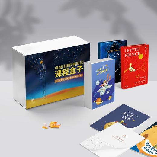 《小王子》经典阅读玩书课程 商品图0