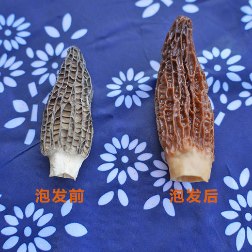 房州味道羊肚菌200g   干货礼盒营养品送礼 商品图3