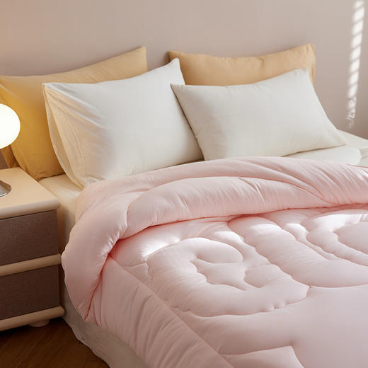 顶柔 棉花糖生物基被3.0-BX2236 商品图8