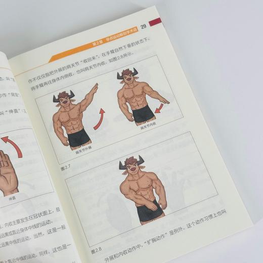 健身书籍 写给健身者的运动解剖学 精编口袋版 仰望尾迹云 健身百科全书训练计划 健身训练书籍 商品图1