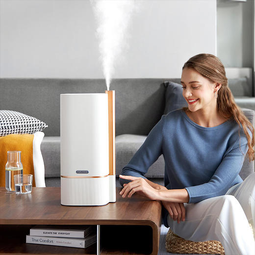 morphy richards摩飞有雾加湿器MR2082白色 商品图3