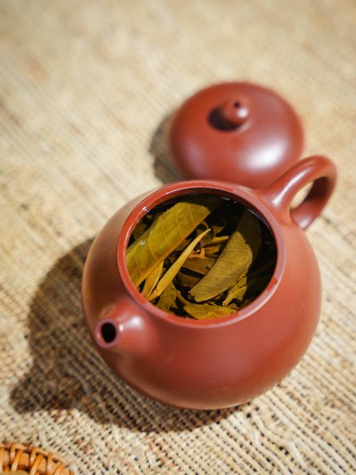 【茶人宣义冰岛老寨】2022年头春头采，总茶师宣哥严选联合冰岛老寨10号茶农:孔琪共同出品，32克/份 商品图2