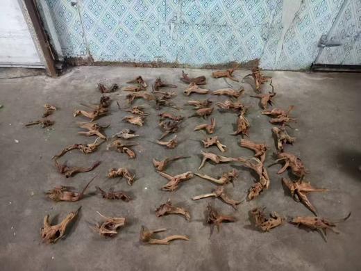 造型木头桩1个 商品图3