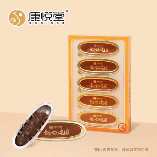 锁鲜炖入味海参  高汤鲜炖，五倍营养，鲜参鲜制，加热即食，非水发更营养 商品图1