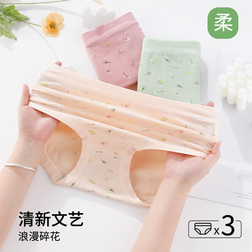 雅黛俪女士内裤柔软舒适透气纯棉裆底三角裤头 商品图2