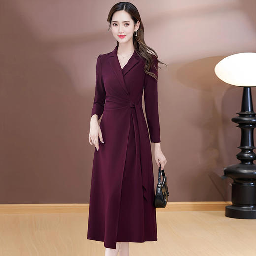 QYMXYKL-26809-Y2025年新款收腰长袖连衣裙女装春秋季气质优雅中长款A字裙 商品图0