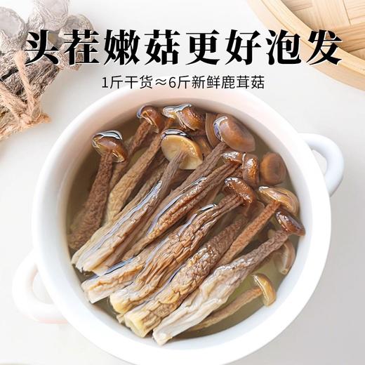 在菌屋 特级鹿茸菇200g/罐 头茬嫩菇 口感脆嫩爽滑 干度足易保存 商品图1