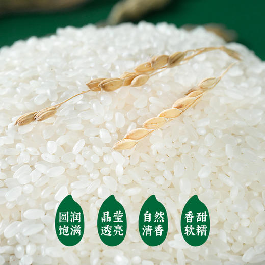【走娃中秋限定】袁谷农场耐盐碱有机大米5kg*2一年一季碱地粳米共20斤赠送穗岁稻香礼盒（8包500g五常大米）到手10件 商品图3
