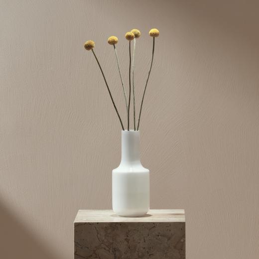 极简花瓶 RESONG日诵家居 插花玻璃花器饰品 商品图4