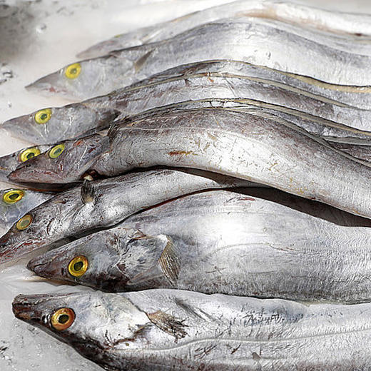 【鑫鲜礼】 舟山带鱼礼盒礼券（仅包含卡） 商品图3