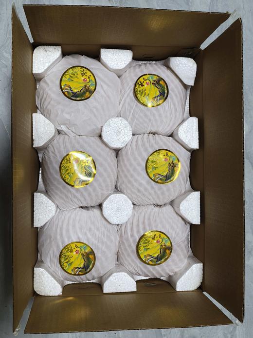 荆选山东莱阳特级秋月梨6斤装 商品图2