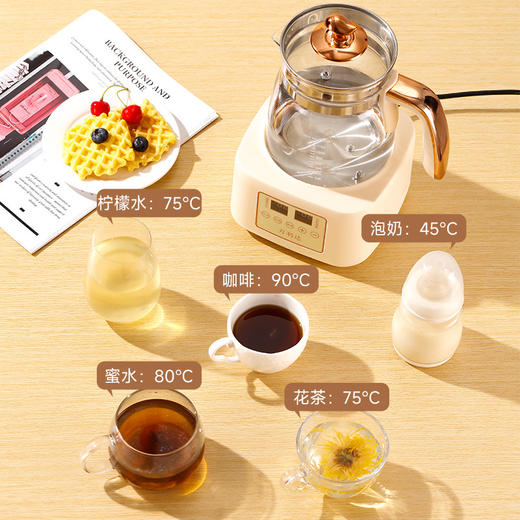 【不仅是调奶器！也是养生壶】大容量泡奶机调奶器恒温水壶二合一壶家用婴儿调奶一体温奶器电动。rb 商品图0