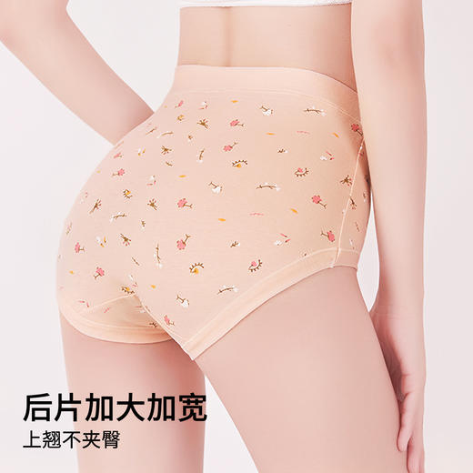 雅黛俪女士内裤柔软舒适透气纯棉裆底三角裤头 商品图1