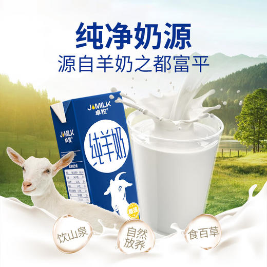 卓牧精选纯羊奶200ml*6 商品图7
