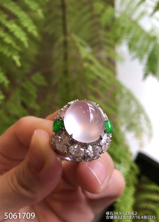 玻璃种粉紫罗兰蛋面戒指【5061709】具体价格微信咨询 商品图8