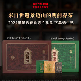 澜沧古茶2024年景迈春香方片礼盒普洱茶云南茶叶景迈名山经典独立包装