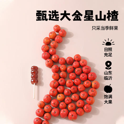 益生元山楂鸡内金棒棒糖牛脾肽茯苓芡实果肉条儿童零食糖葫芦串 商品图1