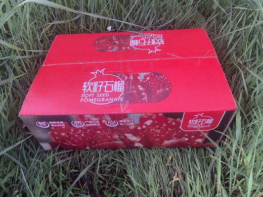 四川会理软籽石榴 商品图4