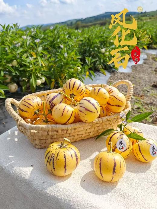 云南 • 石林风化石人参果5斤 饱满肥嫩 果汁清甜 低糖 低脂肪 爆汁清甜 商品图0