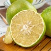 【青皮葡萄柚】清甜多汁，超高的含水量 商品缩略图2