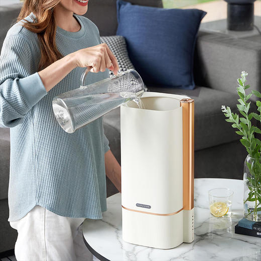 morphy richards摩飞有雾加湿器MR2082白色 商品图1